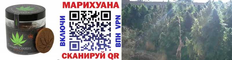Печенье с ТГК конопля  МЕГА сайт  Сурск 