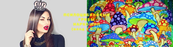альфа пвп Армянск