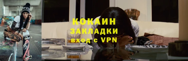 соль ск Арсеньев