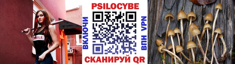 дарк нет официальный сайт  Сурск  Псилоцибиновые грибы мицелий  дарнет шоп 